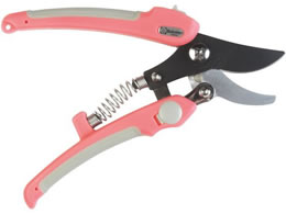 �T�{�e�� �y�؃t�b�f������ �s���N 170mm