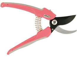 �T�{�e�� �G�A�[�N�b�V��������n�T�~ �t�b�f