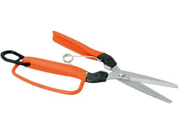 �T�{�e�� �Ռ��z���ʂ͂���