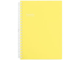 qgu Pastello cCXgm[g B6 21 CG[ N1969-5