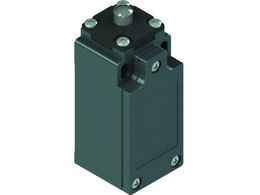 Pizzato/~bgXCb` FM^Cv9