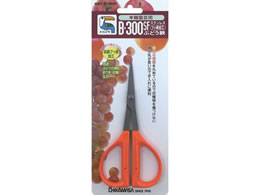 �ߐ� �X�e���t�b�f�Ԃǂ��� BP B-300SF