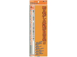 ~c J[}OlbgV[g   10 MS-3L-OR