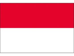 ��������/���� �C���h�l�V�A