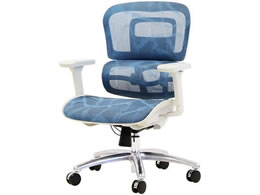 Netforce �_�C�i�~�N�XPro�`�F�A �w�b�h���X�g�E�t�b�g���X�g�Ȃ� �u���[