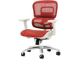 Netforce �_�C�i�~�N�XPro�`�F�A �w�b�h���X�g�E�t�b�g���X�g�Ȃ� ���b�h