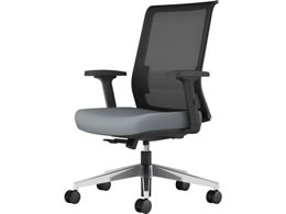 �R�N�� �G���g���[2�@�`�F�A�[ �w�u���b�N�E���O���[ �A���~�r �I�t �i�C����