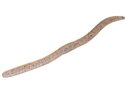 WbJ tbNVFCN3.8 #XWGr