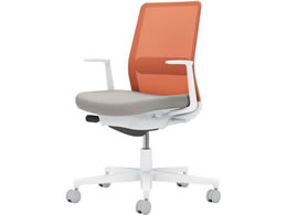 �R�N�� ���l�b�g L�^�I �w���ʐF ���C�g�O���[�^�\�t�g�e���R�b�^