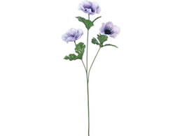 YDM All~3 Cgp[v FF-3035LPU