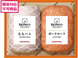 v}n E㊯RnCCt|[Ne[uďC MtgZbg HL-38