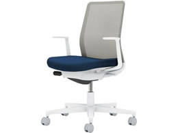 RN lbg L^I wʐF lCr[^CgO[