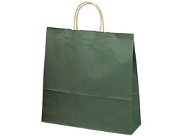 ^J 񂰃obO Gh  10 50-6208