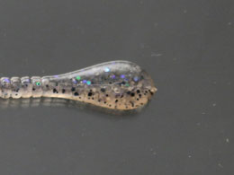 issei Xpe 3 #50 J~XyV