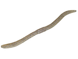 WbJ tbNVFCN5.8 #eiKu[t[N