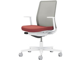 RN lbg L^I wʐF p[VAbh^CgO[