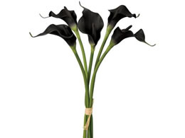  }[J[oh ubN #20 BLACK FM001834-020