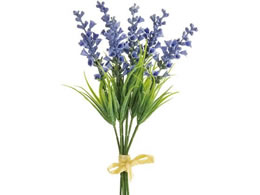  XexjJsbN 6{ #5 LTBL FM002373-005