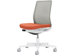 RN lbg IȂ wʐF \tgeRb^^CgO[