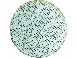 tBbV[ tBbNXCbg 92507