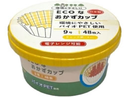 KfsIM ECOȂJbv e `FbN 9 48