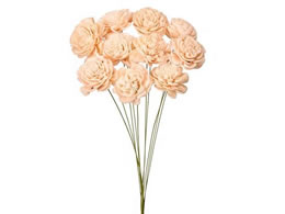  hCt[ \[[[YE s[`V[xbg s[`V[xb