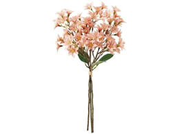   Xet[oh #2 ANT.PK AeB[NsN