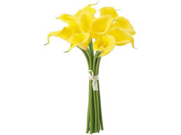   J[[oh #4 YELLOW CG[ 10{