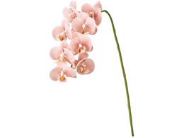   ~jkt@m #6 PE PK s[`sN