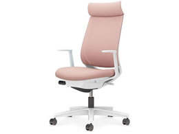 RN ~g2 bV AfBViLI r{̔AbVsN