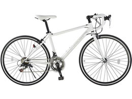 21Technology [hoCN 700C zCg 700c-white