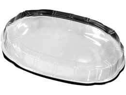 �j�V�L �v���e�� �V���L�[�A�C�{���[ 10���� ����p�����W 8173100