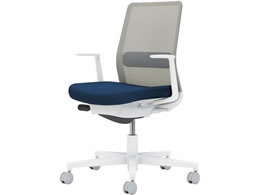 RN lbg L^I wʐF lCr[^CgO[