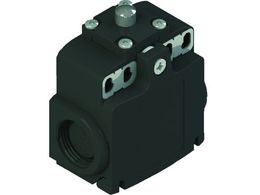 Pizzato/~bgXCb` FX^Cv6