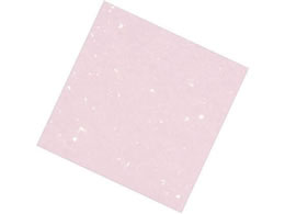 A[ebN  j[lG 4 100 NS-K24 sN