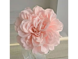   vC_AsbN PINK