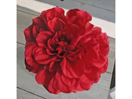   vC_AsbN RED