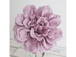   vC_AsbN LILAC