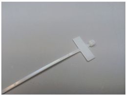 �p���h�E�C�b�g ���^�^�C�v�i�C���������o���h �i�`������ (1000�{��) PLM1M-M