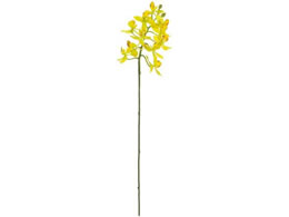   VAt@m #4 YELLOW CG[