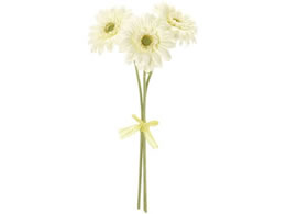 ������ ���� �\���C���K�[�x���o���h�� #37 �N���[��