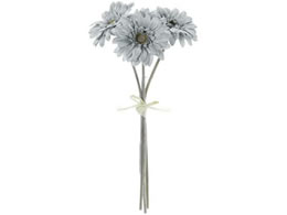 ������ ���� �V���r�[�K�[�x���o���h�� �O���C�u���[