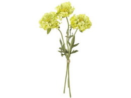 ������ ���� �t�����W�X�J�r�I�T #4 �C�G���[�O���[��