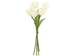 ������ ���� �G���[�`���[���b�v�o���h�� �N���[���z���C�g