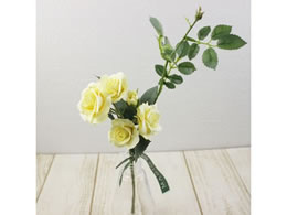 ������ ���� �p���b�g���[�Y #104 LEMON ������