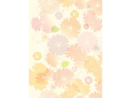 ^J  ^CA S(757~1060mm) 50 49-2506