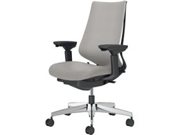 RN `FA fI2 A~r NbV \tgO[