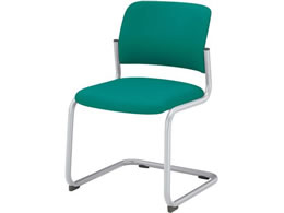 RN cpCX100 z I J`o[r Vo[r ~g