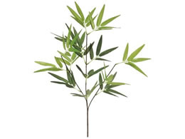   |S GREEN