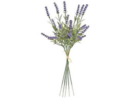   qTChx_[ LAVENDER 6{
